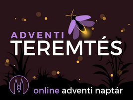 a Belvárosi R. K. Plébánia online adventi naptára
